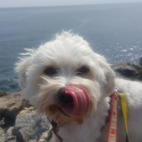 ❤Offers Welcome❤️ - Picture 9 of 11